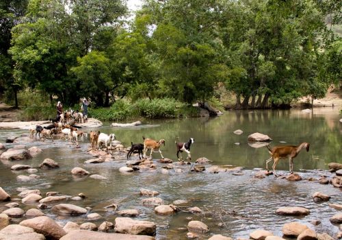 Vì sao cần sử dụng hợp lí tài nguyên thiên nhiên?