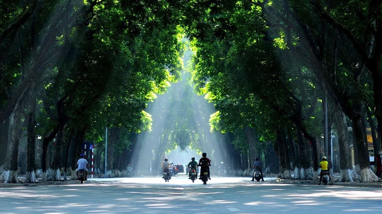 bien-phap-bao-ve-moi-truong-6